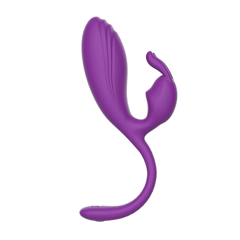Remote Control Vibrating Egg