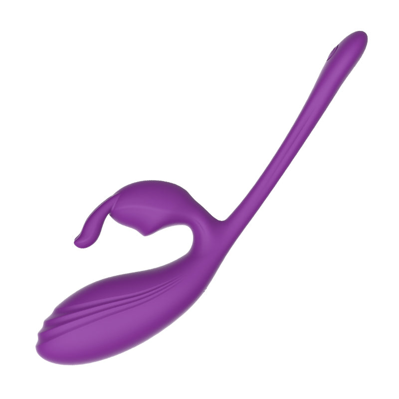 Remote Control Vibrating Egg