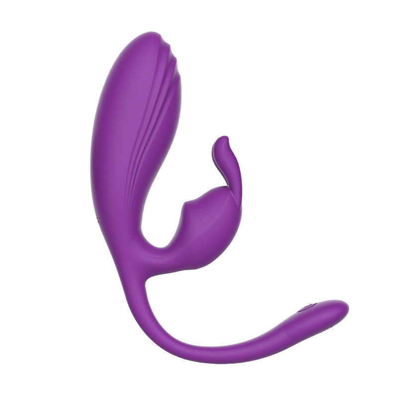 Remote Control Vibrating Egg