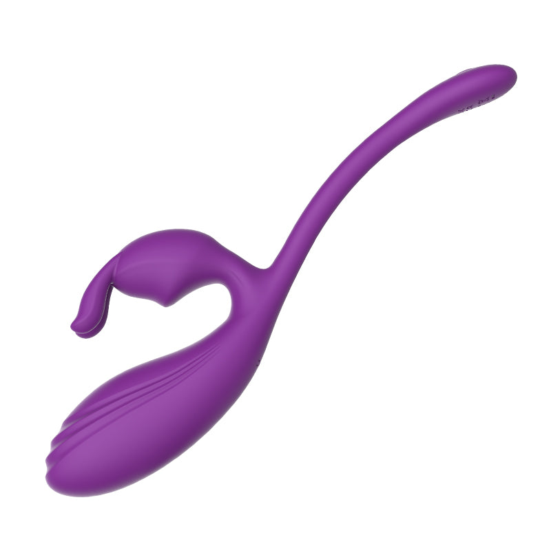 Remote Control Vibrating Egg