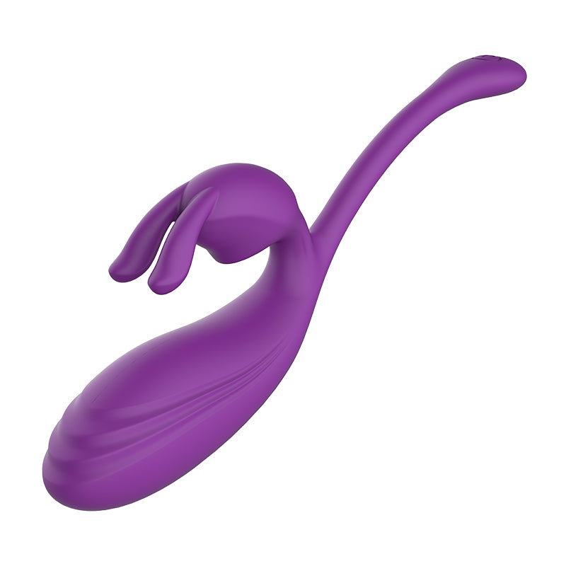 Remote Control Vibrating Egg