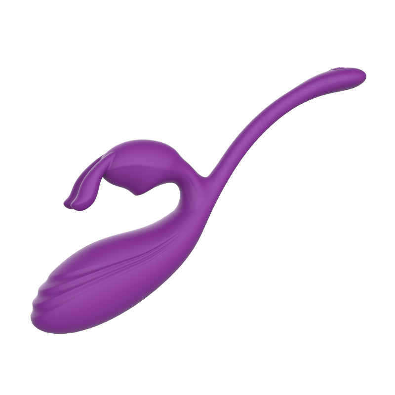 Remote Control Vibrating Egg