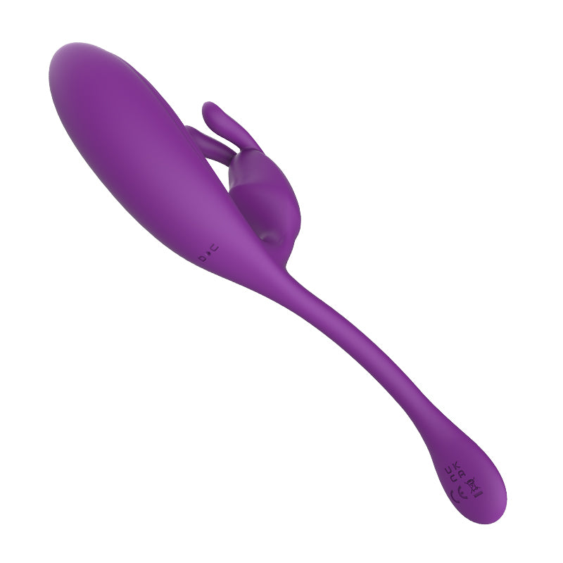 Remote Control Vibrating Egg