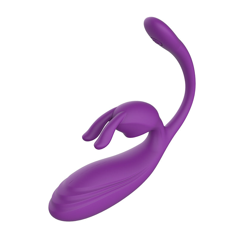 Remote Control Vibrating Egg