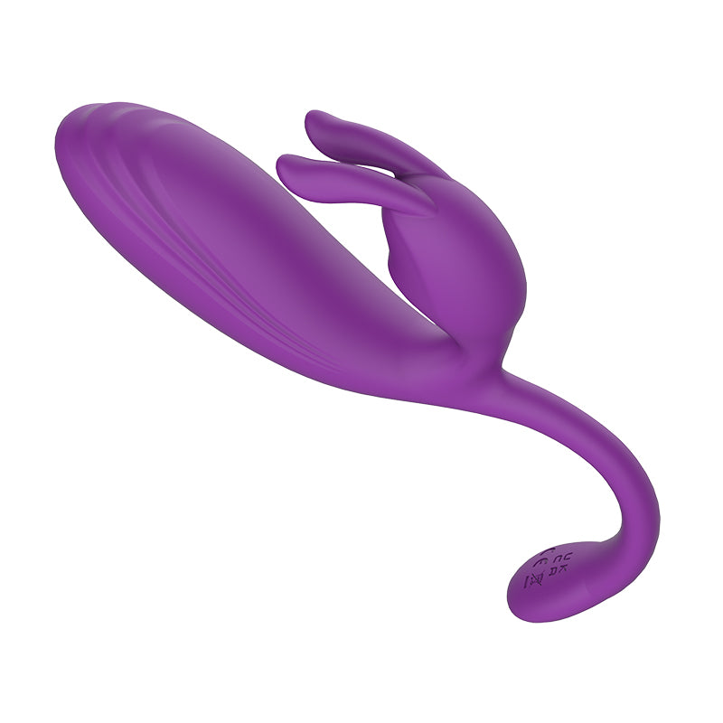 Remote Control Vibrating Egg